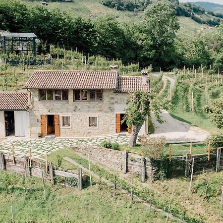 Agriturismo Il Conte Vassallo 미아네 외부 사진