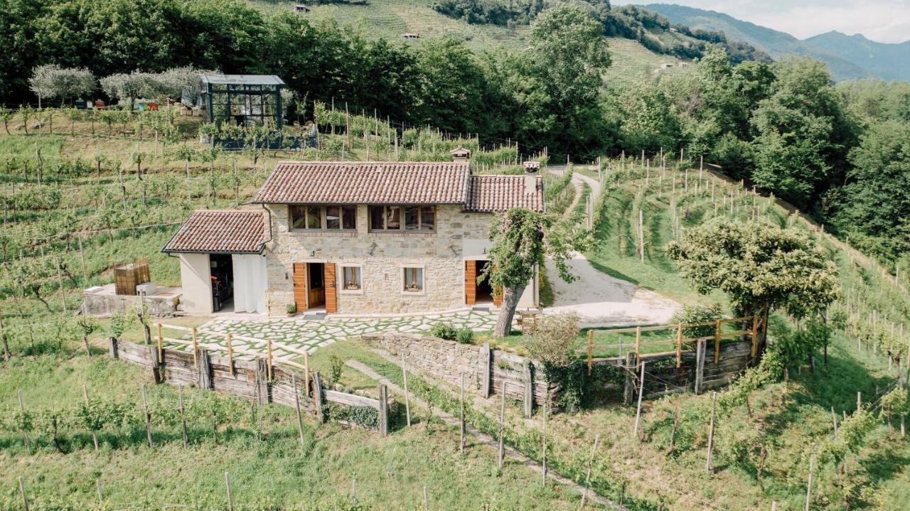 Agriturismo Il Conte Vassallo 미아네 외부 사진
