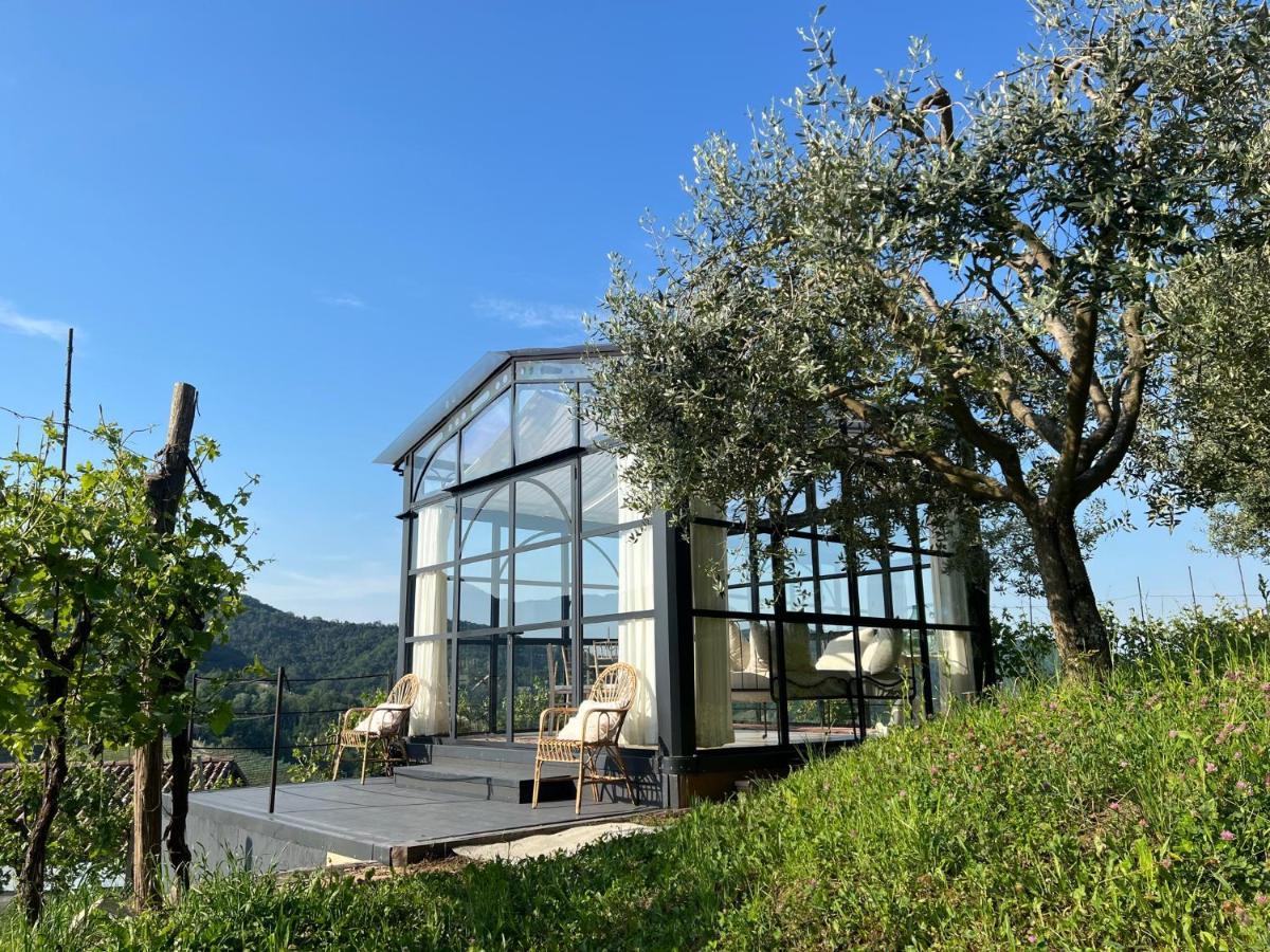Agriturismo Il Conte Vassallo 미아네 외부 사진