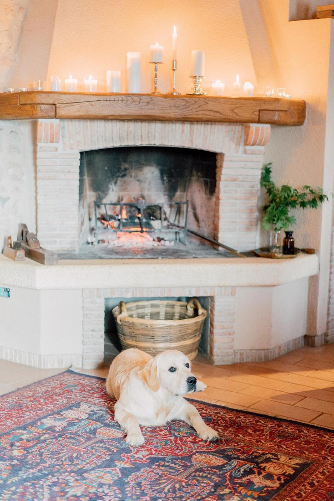 Agriturismo Il Conte Vassallo 미아네 외부 사진