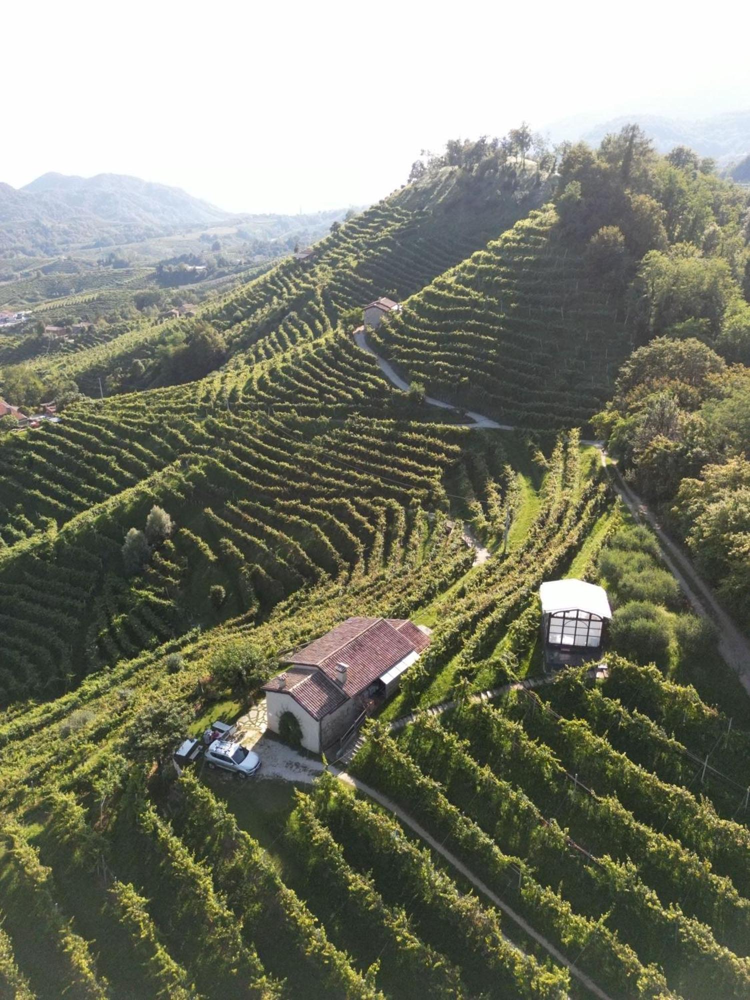 Agriturismo Il Conte Vassallo 미아네 외부 사진